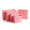 ISO бумажный мешок циннамона нижнего белья бумажных мешков одежды офсетной печати розовый
